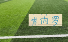 年底都到期！ 为什么申花非要提前3个月解约米内罗