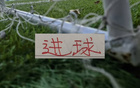 截止26轮官榜！申花进球数反超成都蓉城排第2 只有三家俱乐部进球超50个